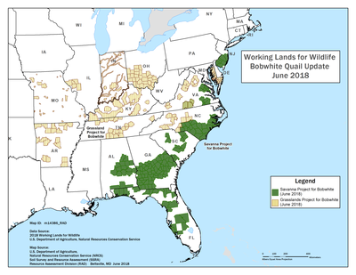 WLFW Quail Map Original