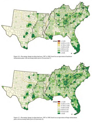 Southern Forest Futures