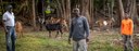 North-South Institute, Inc. Executive Director Samuel W. Scott, Ph.D., and Farm Technician Alex Ramirez on Dave Borrowes’ Epic Ranch, in Davie, Florida, February 22, 2021.

USDA/FPAC Photo by Preston Keres