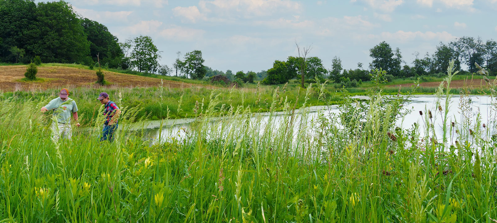 Wetland Easement