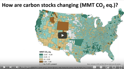 Greenhouse Gases in Agriculture and Forests