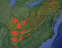 Areas that are locally significant due to irreplaceability and have high internal local connectivity. Eight areas were identified and mapped:
1) Cumberland Plateau-Chattanooga;
2) Daniel Boone;
3) Nashville Basin;
4) Hoosier-Interior Low Plateau;
5) Mammoth Cave-Campbellsville-Chickamauga;
6) Cumberland Gap-Big South Fork;
7) Southern Finger Lakes-Allegheny Plateau;
8) Lower Tennessee-Bankhead-Wheeler