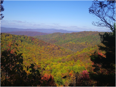 Appalachian Landscape