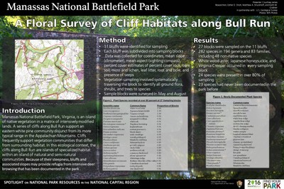 A Floral Survey of Cliff Habitats along Bull Run