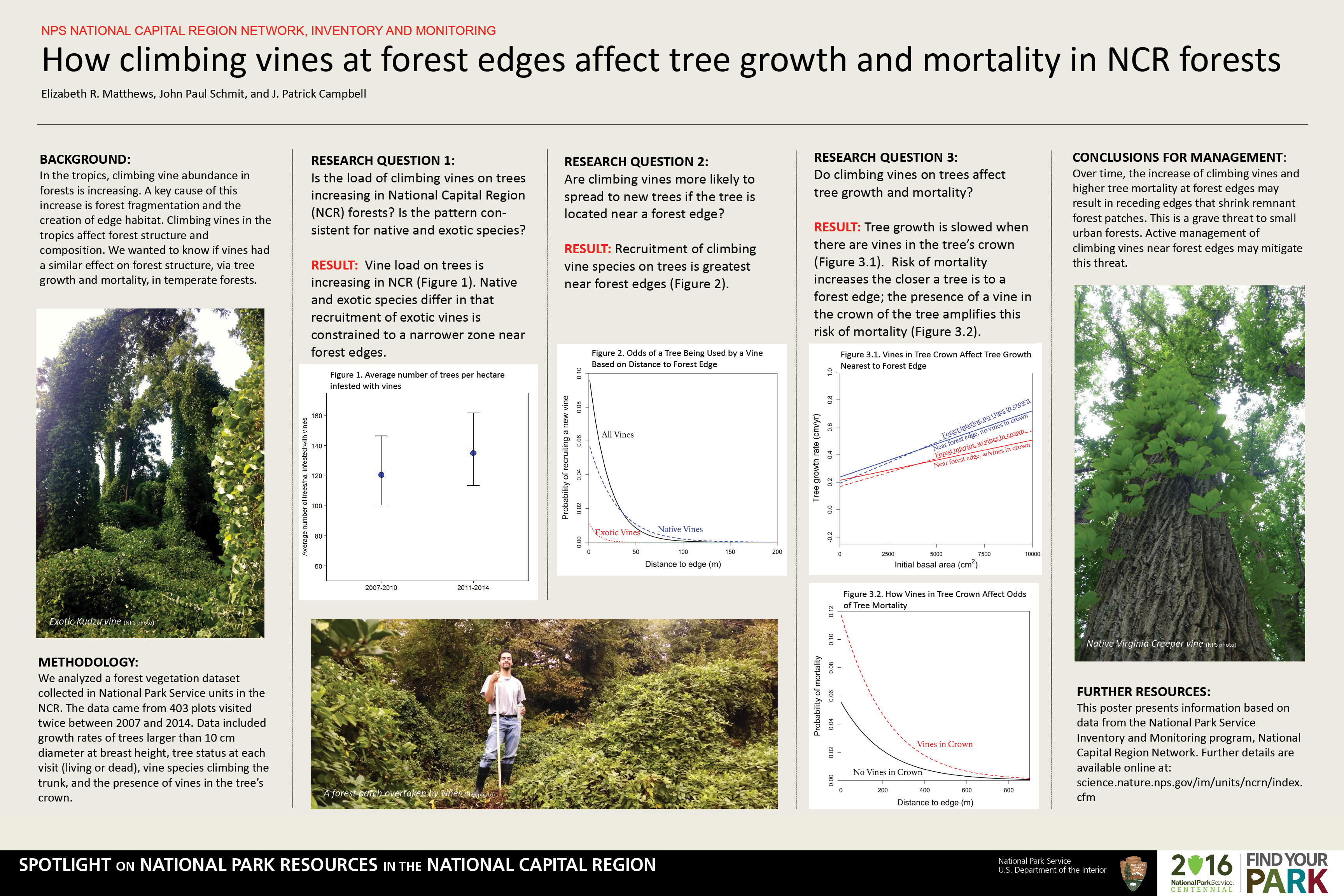 How Climbing Vines at Forest Edges Affect Tree Growth and Mortality in NCR Forests