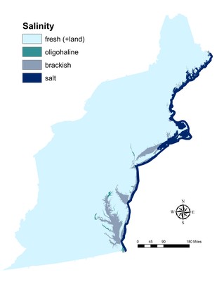 Salinity, Northeast U.S.