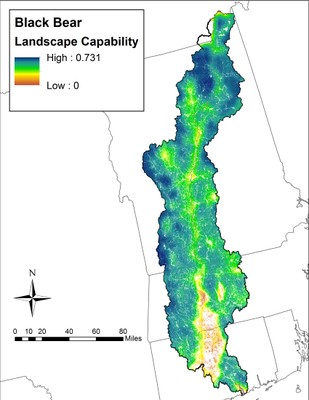   Landscape Capability for Black Bear