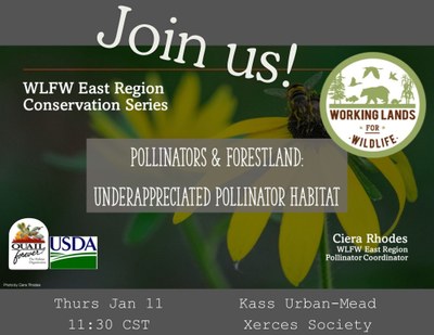 WLFW East Region Conservation Series