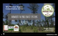 WLFW East Region Conservation Webinar Series: Northern Bobwhite Session #5 “Bobwhite in Pine Forest Systems”