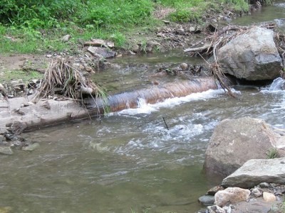 Brook Trout Restoration and Expansion in Garth Run, Virginia