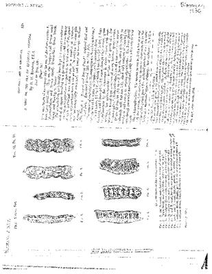 Bloomer 1936.pdf