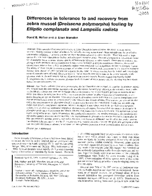 Hallac Marsden 2000.pdf