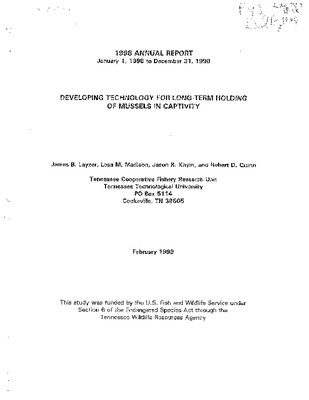 Layzer et al 1999.pdf