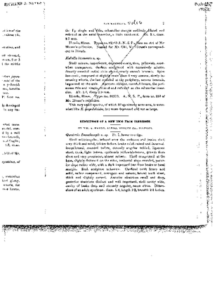 Marsh 1902.pdf