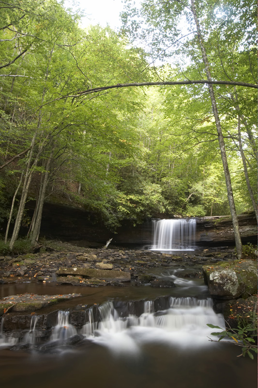 Clinch Mountain WMA Waterfall