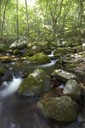 Upstream view of stream at the Clinch Mountain Wildlife Management Area.