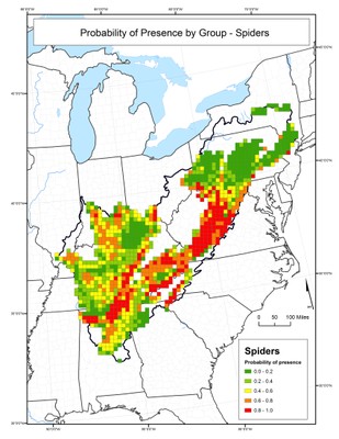 Probability of Presence for Spiders