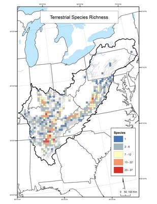 Terrestrial Species Richness