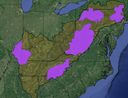 Broad areas of regional significance that have high internal landscape connectivity. Five cores were identified and mapped:
1) Shawnee-Peabody-Land between the Lakes;
2) Southern Blue Ride-Upper Tennessee River Basin;
3) Central Appalachian-Allegheny;
4) Heart's Content-Northwest Pennsylvania;
5) Delaware Water Gap-Catskills
