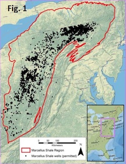 Marcellus Shale Wells within Region