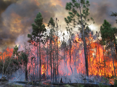 800-acre Buck Lake Wildfire