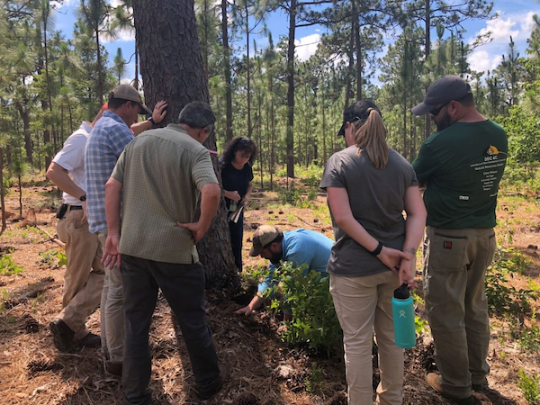 Land managers learn about duff moisture