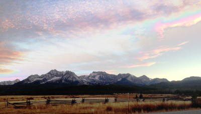 Wood River Valley Forest Health & Wildfire Resilience 