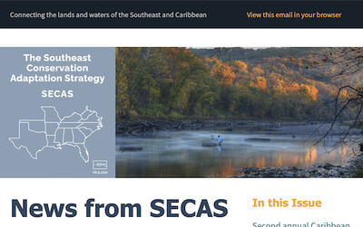 SECAS April 2024 Newsletter