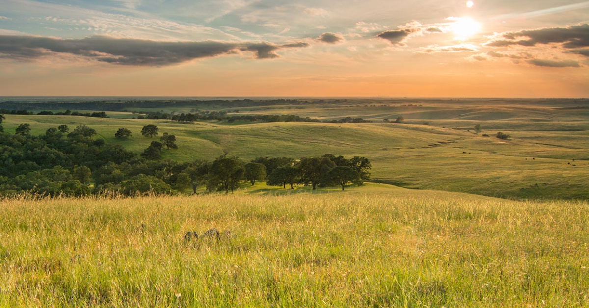 DOI Nature-based Solutions Roadmap